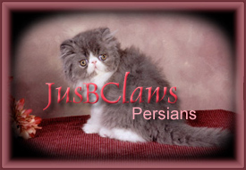 JusBClaws Persians